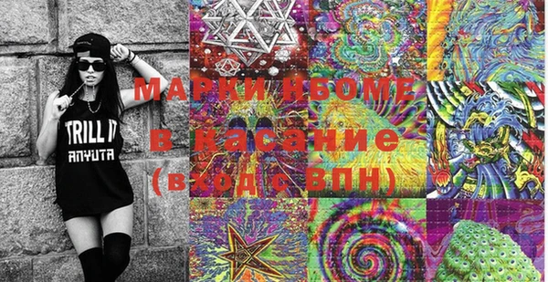 ПСИЛОЦИБИНОВЫЕ ГРИБЫ Инсар